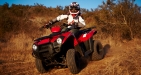 Quads Safari